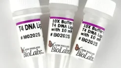 T4 dna ligase 100000 unités