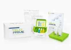 TeloPrime Full-Length cDNA amplification Kit V2 - 8 réactions