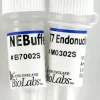 T7 endonuclease i 250 unités