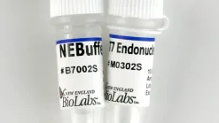 T7 endonuclease i 250 unités