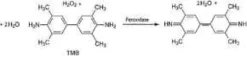 3,3 5,5 ,-tetramethylbenzidine (tmb) liq 1 L