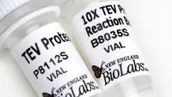 Tev protease 1000 unités