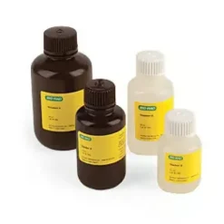 TGX Stain Free FastCast Acrylamide 10% 1 Kit