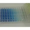 Tmb-e (elisa) peroxidase substrate 100 mL