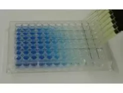 Tmb-e (elisa) peroxidase substrate 100 mL