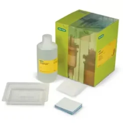 Trans-Blot Turbo RTA Transfer Mini PVDF for 40 Blots 1 Kit