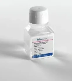 Trypsin-edta 10x 100 mL