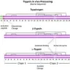 Trypsin from bovine pancreas 1 g