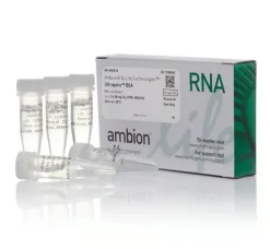 Ultrapure bsa (50 µg/ml)-5 x 50 µg 5x50 mg