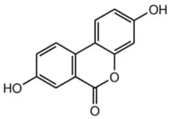 Urolithin a 25 mg