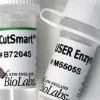 User enzyme recombinant 250 unités