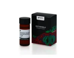 Vectashield vibrance with dapi 10 ml