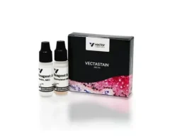 Vectastain abc standard kit