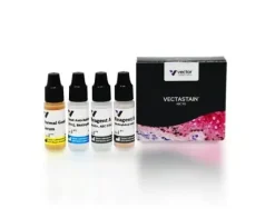 Vectastain elite abc kit (rabbit igg)