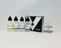 Vectastain elite abc universal plus kit peroxidase (anti-mouse/rabbit igg)