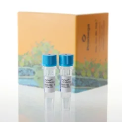 ViaFect Transfection Reagen 1,5 mL