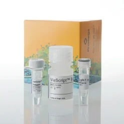 ViaScript LgBiT mRNA Delivery System