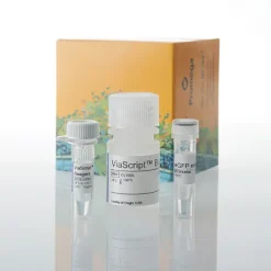 ViaScript mRNA Transf Reagt plus eGFP