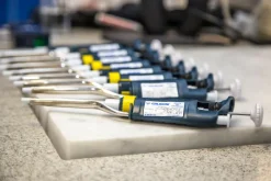 Vérification uniquement sans détermination sur site du bénéficiaire