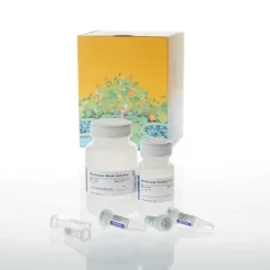 Wizard SV Gel and PCR Clean-up System 50 preps