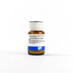 Zymolyase 20T from Arthrobacter luteus 1 g